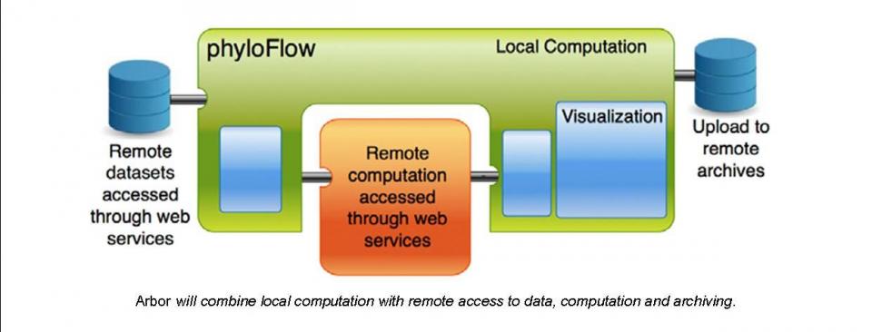 Arbor Software Illustration