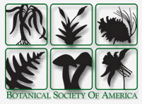 Botanical Society of America