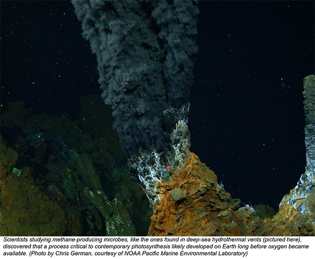 hydrothermal vent