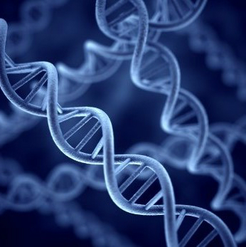 The grant will also explore the complex legal and ethical issues surrounding genome analysis DNA strand
