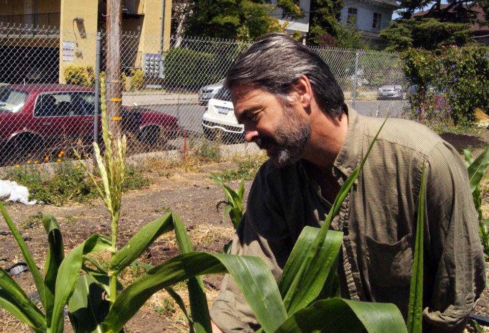Damon Lisch Examining Corn Damon Lisch Examining Corn