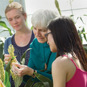 Peggy Lemaux at the Greenhouse