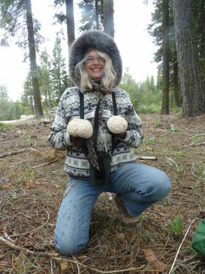 Citizen Scientist Debbie Viess in the field Debbie Viess