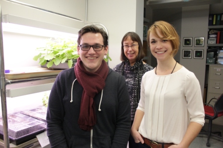 Jacob O. Brunkard (Graduate Student), Professor Patricia C. Zambryski , Anne M. Runkel (Graduate Student)