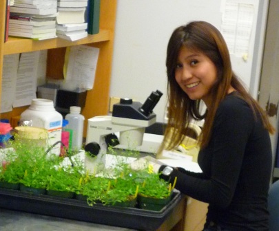Denisse Rojas performs research in Robert Fischer's Lab