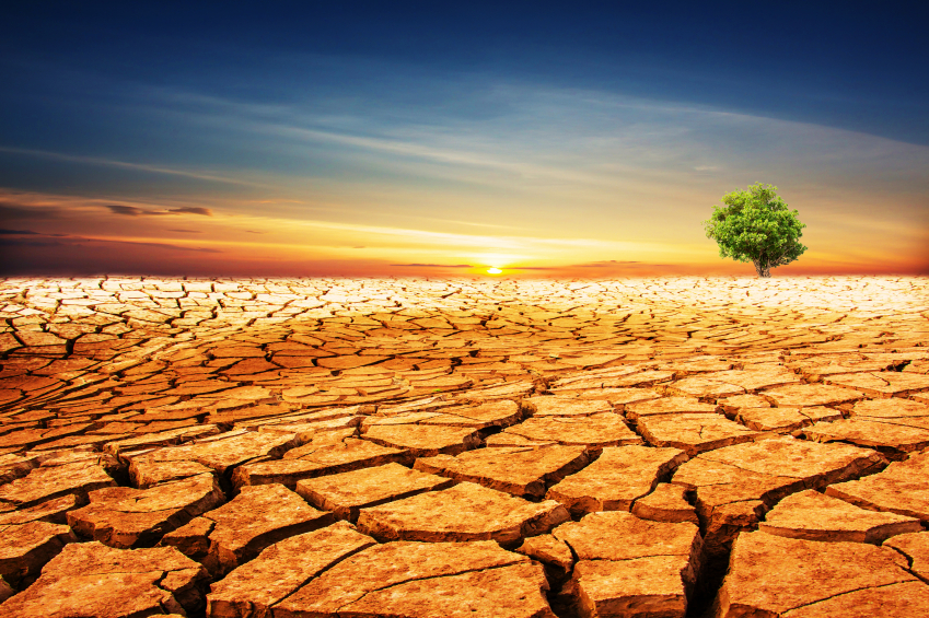 Photo of Drought
