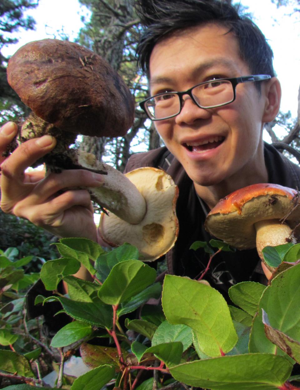 Researcher Ngu Nguyen in the field with a leccinum specimen Researcher Ngu Nguyen in the field with a leccinum specimen