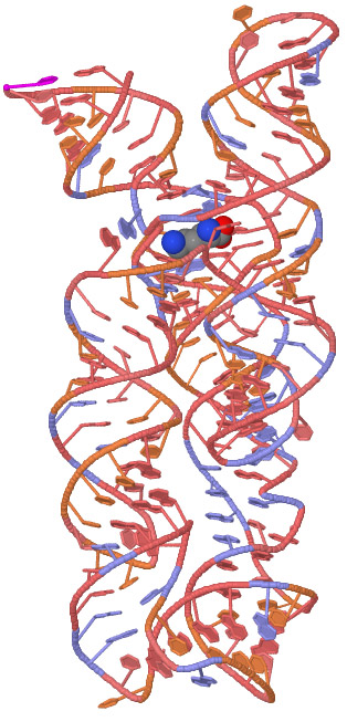 A riboswitch